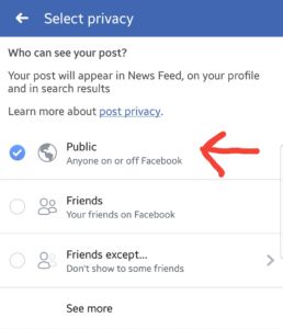 Facebook Screenshot to show which option to select to set the post to 'public'