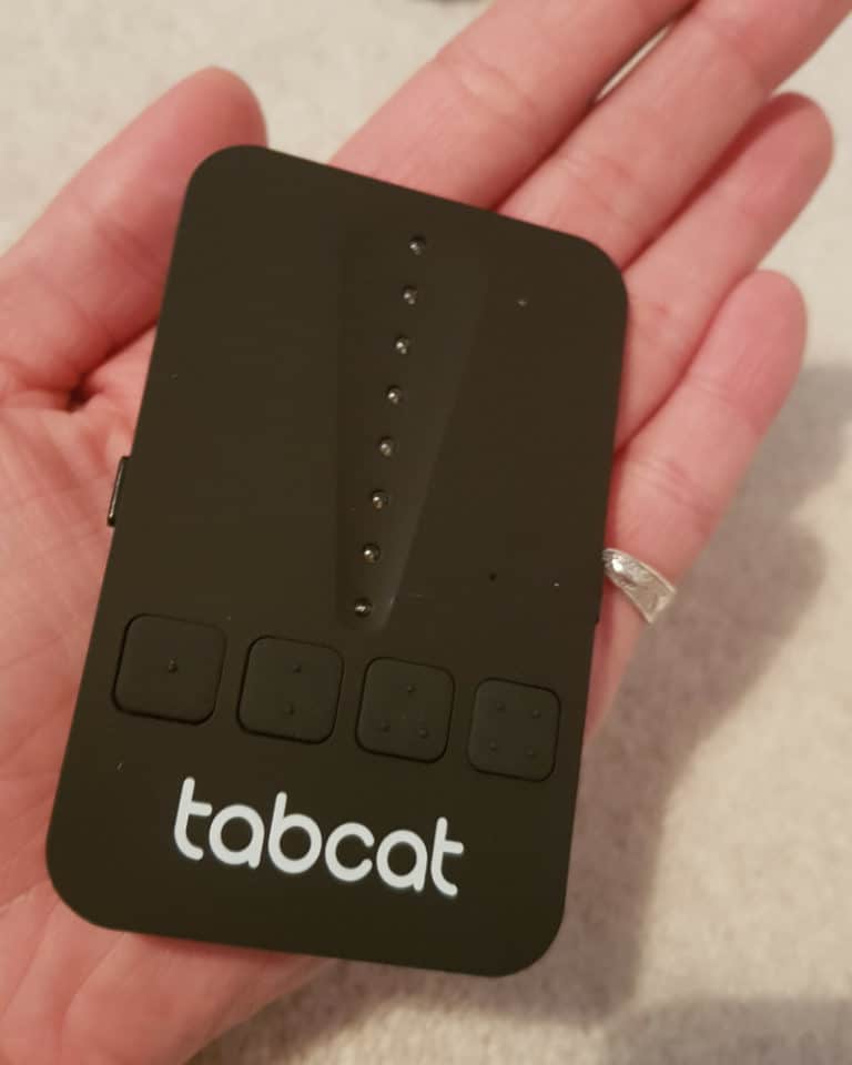 TabCat Review A Simple, Effective Cat Tracker Cat About The House