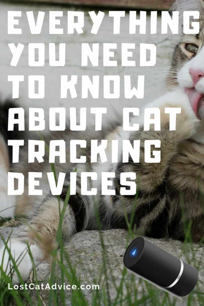 Best Cat Tracking Devices 2023 Cat About The House