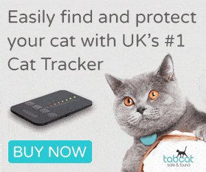 TabCat Cat Tracker