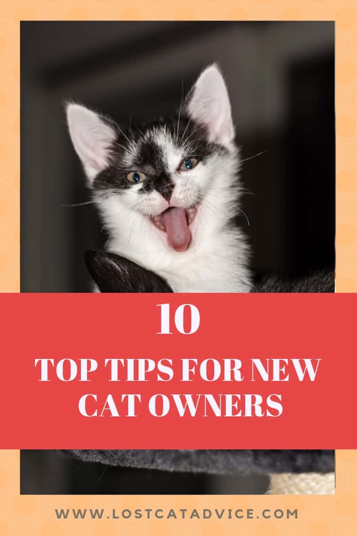 Tips for new cat owners