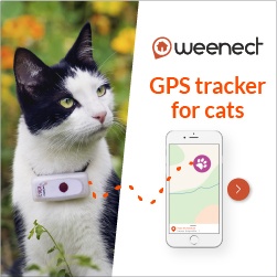 Weenect Cat Tracker